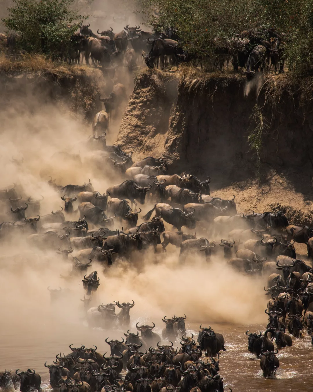 Great Migration